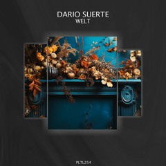 Dario Suerte - Welt (Lo-Fi Edit)