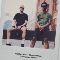 Distilled Noise - Mountain Drew (Toucanplay Remix)