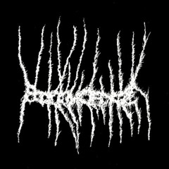 Black Wilderness - Endless Pine Sanctuary (A Corpse To Bear Witness)