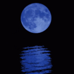 Nothing Last Forever (Performance Version) ⬛ Prod. by HACHI (redone by me)