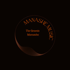 The Genesis (Mavambo)feat Trust Samende (Mokoomba)