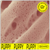 Bazaar 80 || puppy DJ mix artwork - Electronic music tracklist cover image