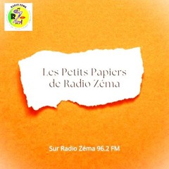 L'importance des Abeilles semaine 34 - Les Petits papiers de Radio Zéma