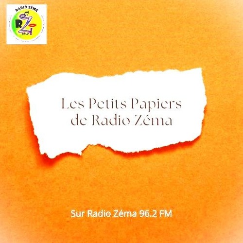 L'importance des Abeilles semaine 34 - Les Petits papiers de Radio Zéma