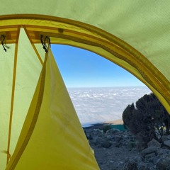 Ain’t in these Songs