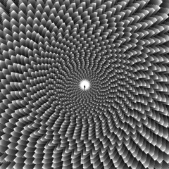 30 11 24
