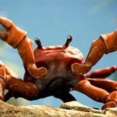 Crab Rave Techno House Melvin Music Remix