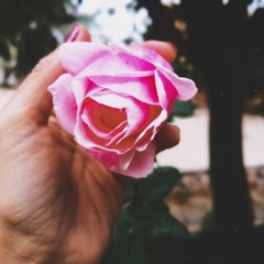 Şu Dalma'dan Geçtin mi (Yörük Ali)