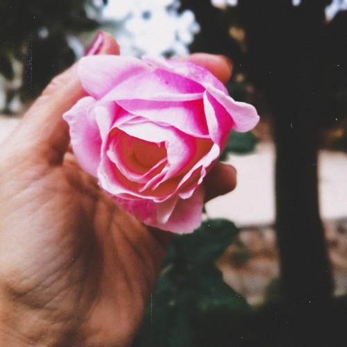 Şu Dalma'dan Geçtin mi (Yörük Ali)