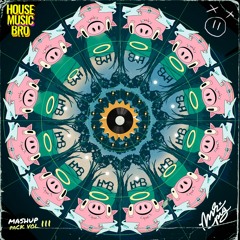 House Music Bro Mashup Pack Vol. 3 (w/ Mr. Pig)