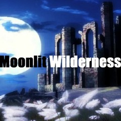 Moonlit Wilderness 2022 (D84 REMIX)