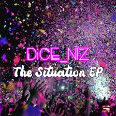 The Situation (Feat. House Of Downtown) / Radio Edit