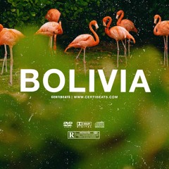 (FREE) Tems ft Burna Boy & Tiwa Savage Type Beat "Bolivia" | Free Beat | Afrobeat Instrumental 2024