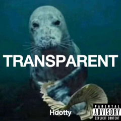 TRANSPARENT