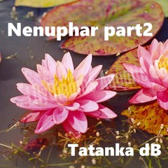 Tatanka dB - Nenuphar Part 2(edit 2024)