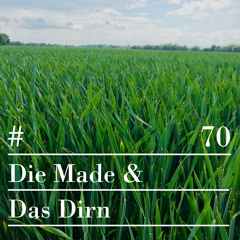 RIOTVAN RADIO #70 | Die Made & Das Dirn