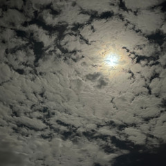 aka. Bennifer Lowpass - Short cut from Hybrid Set