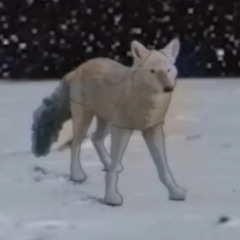 Megaplex Demo Set - Triangle Dog Continuum