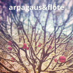 Arpagaus&Flöte 411 Mix