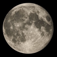 🌚