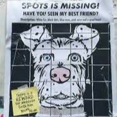 "I'm not a violent dog.."