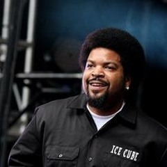 Audio Log 14: "Ice Cube Ain't Shit"