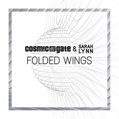 Folded Wings (Rafael Frost Extended Remix)