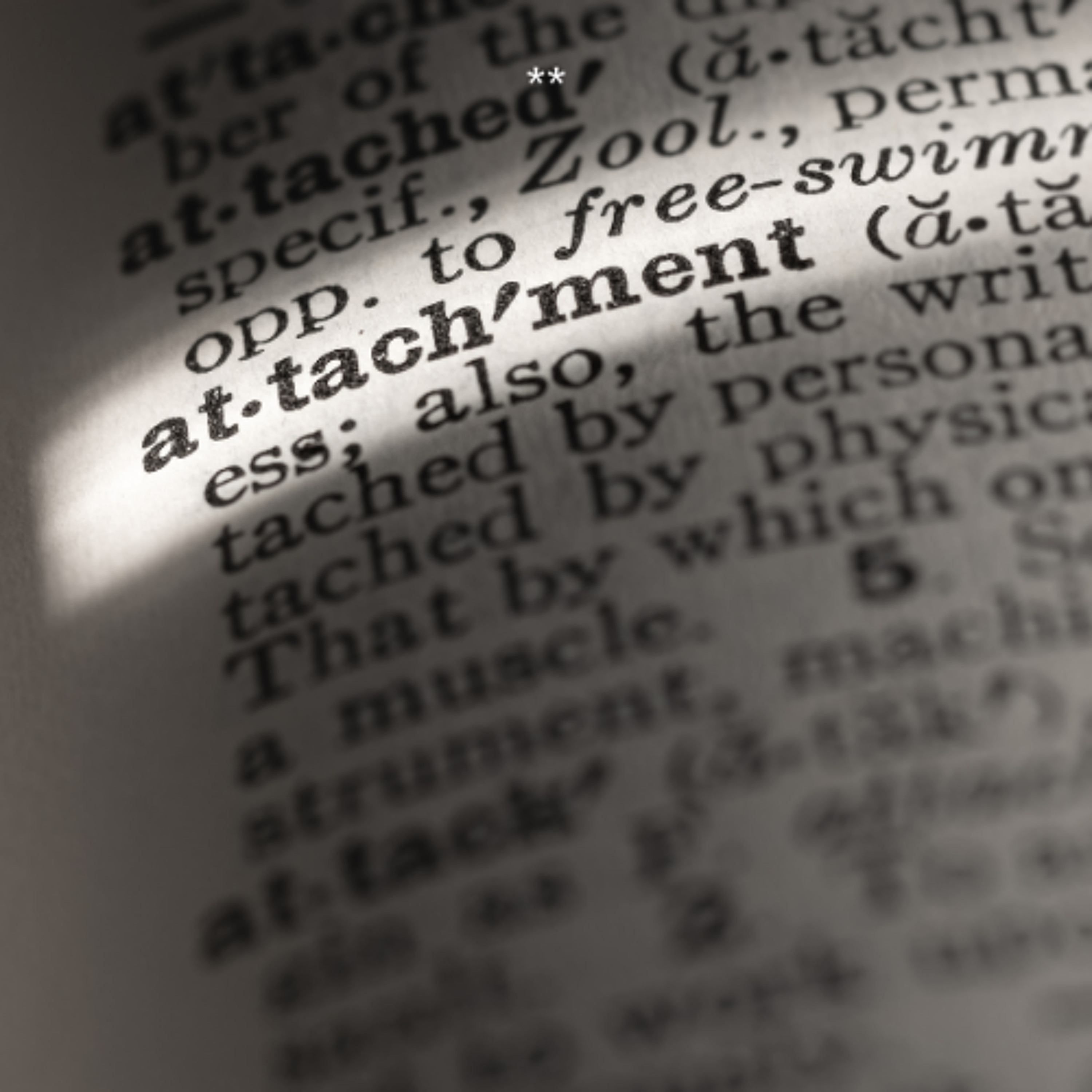 #824: Attachment is Greed, Not Love