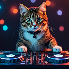 House Of Classics Wednesday Set