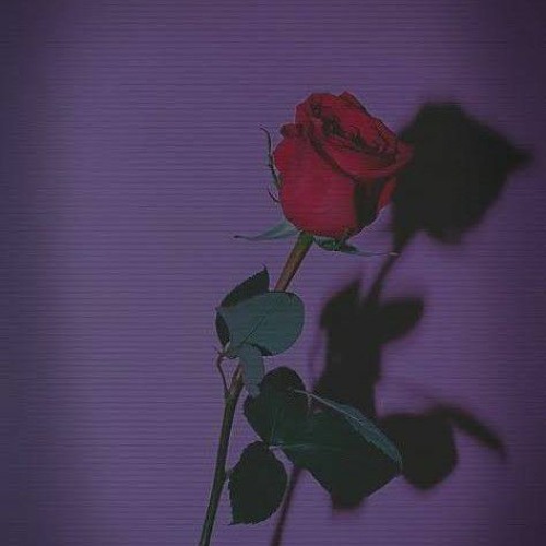 Sean Rii X Julie - IFIRA TENUKU NIAKU  🎶🔥💃