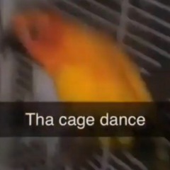 THE CAGE DANCE edit