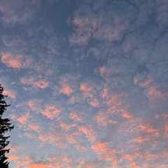 BRAINORCHESTRA - THERE IS A GOD (FULL PROJECT ON BANDCAMP)