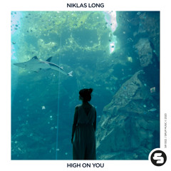 Niklas Long - High On You