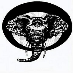 Fox Man - Elephant