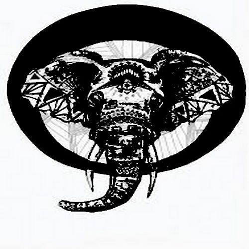 Fox Man - Elephant