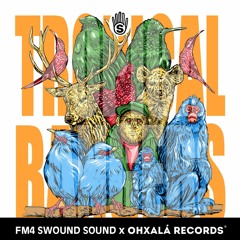 FM4 Swound Sound #1245