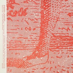 PREMIERE #809 |  Christoph Waelkens - Border Music [Vlek] 2020