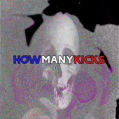 HOW MANY K!CKS - phoenix fj