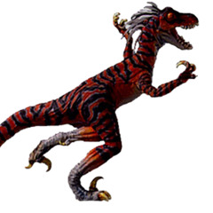 NIGHT WALK IN MALIBU