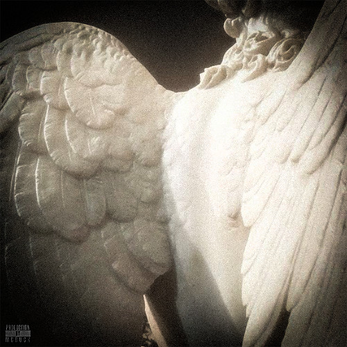 Divine Apathy