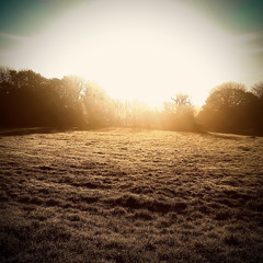 (My Cover) Into The Glass  - Laura Doggett