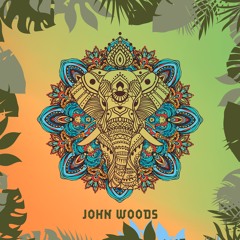 Epiphany Podcast #60 - JOHN WOODS