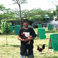 y2mate.com - Magapi Namadde  Fitri Adiba Bilqis  Karya Sandy Cheng Cover.mp3