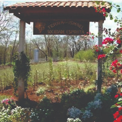 14.11.2025 - Cap. XXIV - Não Coloqueis a Candeia Sob o Alqueire - Os Sãos Não Precisam de Médicos (26)