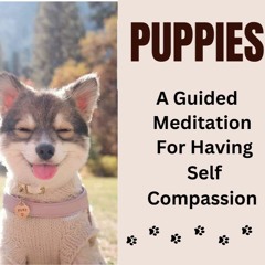 Puppies Meditation; A Guided Mediation For Having Self Compassion