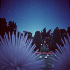 Where Dreams Exist