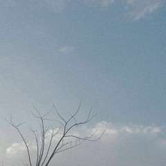 Playlist Lãng Quên Chiều Thu Hoa Vinh,...