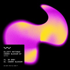 PremEar: Elliott Matthews - Ok Baby [GWTF018]
