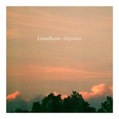 Grandbruit - Adaptation 1