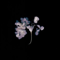 No Love Songs (Prod.Virgo2x)